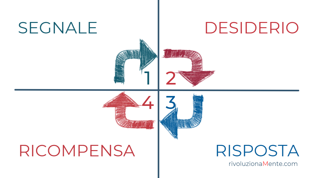 Grafico del ciclo dell'abitudine