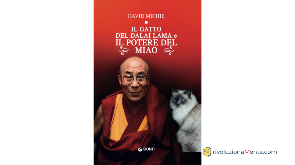 i 10 migliori libri del 2023: il gatto del Dalai Lama