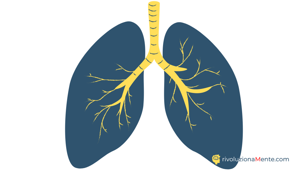 polmoni ne l'arte di respirare