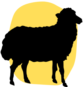 pecora nera